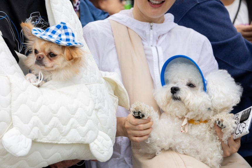 사진=한국경제신문