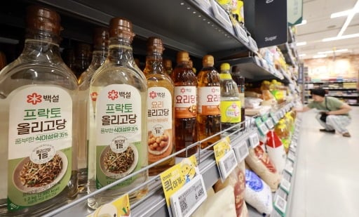 뉴스1