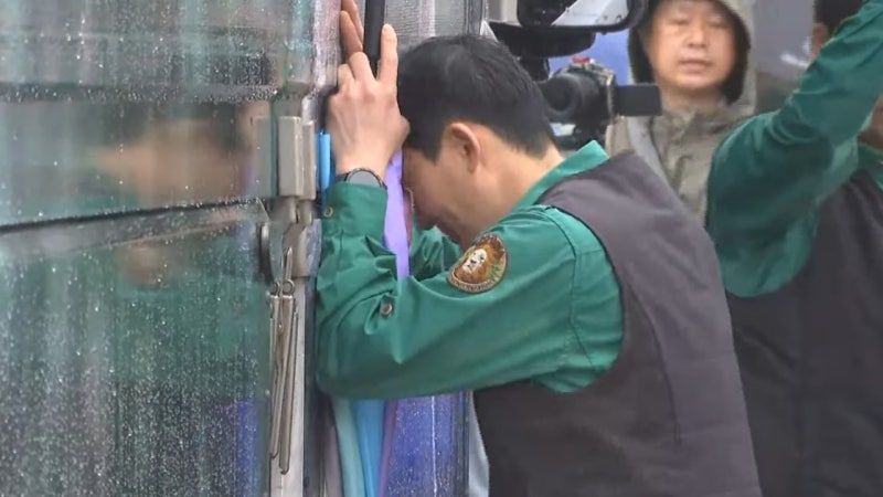 용인 푸씨 <b>푸바오</b> <b>중국</b>행에 한국은 '눈물' <b>중국</b>은 '환영'