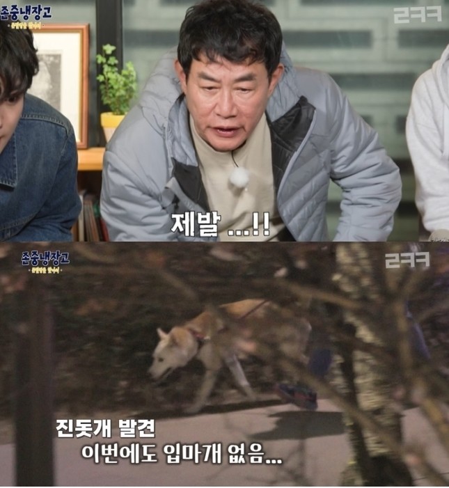 <b>이경규</b>, <b>진돗개</b> 혐오 방송 논란..."학대견 입양해 키우는데" 견주 울분