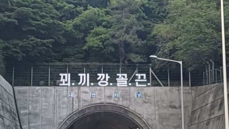 <b>부산</b> <b>터널</b> 위 '<b>꾀끼깡꼴끈</b>' 무슨 의미? "문구 보다 사고 나겠다"