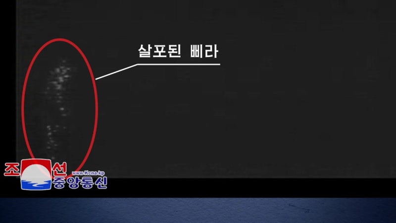 북 "<b>한국 무인기</b> 평양 <b>침투</b>"...정부 '전략적 모호성'