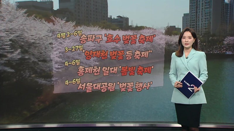 탄핵 선고로 '<b>여의도</b> 봄꽃 <b>축제</b>' <b>연기</b>...4월 4일에서 '8일'로 [앵커리포...