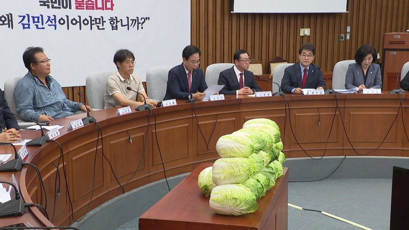 <b>배추</b> 등장한 '<b>김민석</b> 국민<b>청문회</b>'...야 "지명 철회"