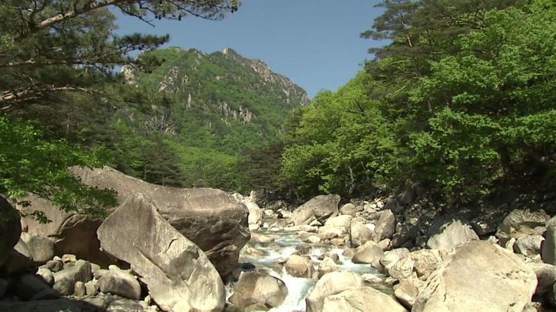 '한민족의 명산' <b>금강산</b>, <b>유네스코 세계유산</b> 등재
