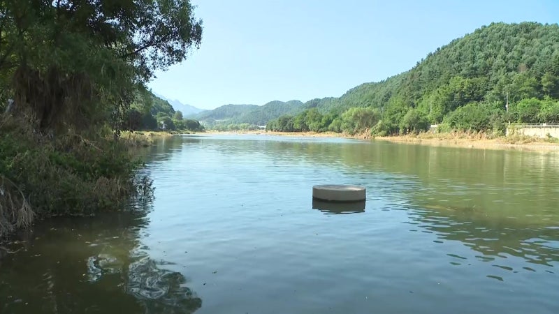 [속보] "발견된 신원 미상 시신, 40대 여성 <b>실종</b>자로 확인"