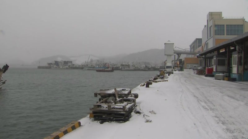 드디어 한파 끝! 주말은 눈/비 주의, 새해 해돋이는 맑게!