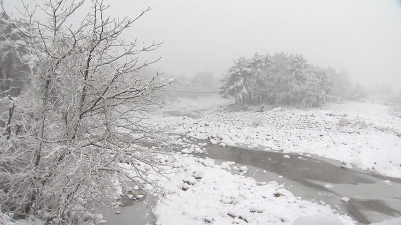 주말 전국 눈 예보! 강원 대설 & 휴일 다시 한파🥶