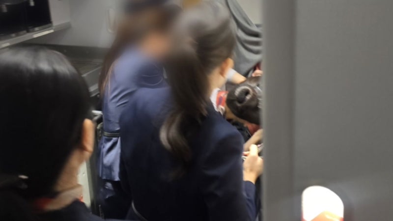 [단독] 여객기에서 다른 승객 머리 폭행...상공에서 응급처치