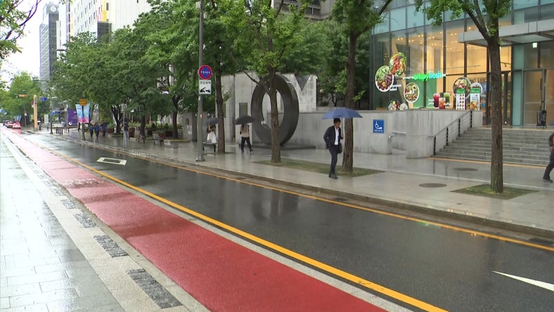 [날씨] 강한 비구름 빠르게 이동...예상 강수량 대폭 하향