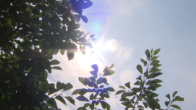 "주말 지나면 <b>장마</b> 끝"...다음 주 본격 <b>폭염</b> 덮친다