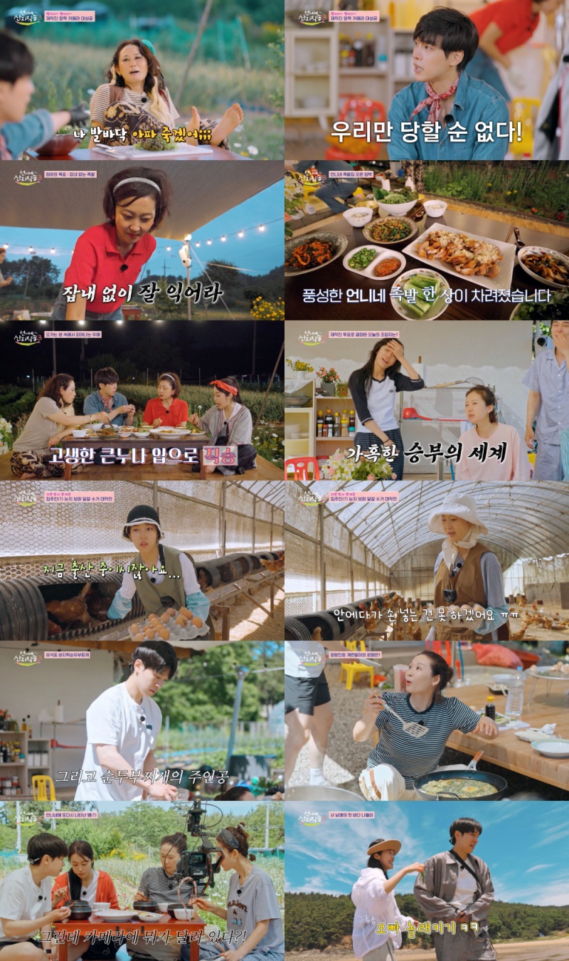 조회수 3천만 뷰 터진 '뱀 소동'의 어이없는 반전 결말