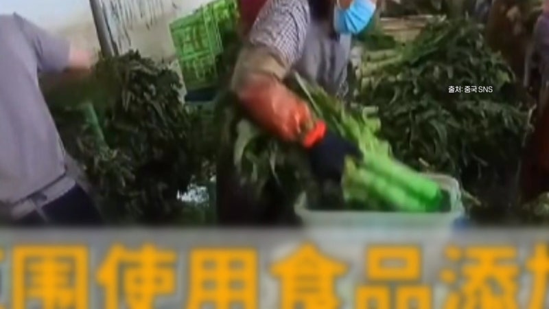 중국, '발암 배추'에 이어 이번엔 '염색 상추' 논란 [앵커리포트]