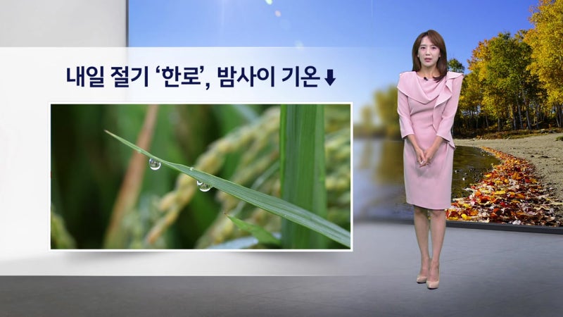 [이슈날씨] 내일 절기 '<b>한로</b>', 밤사이 기온