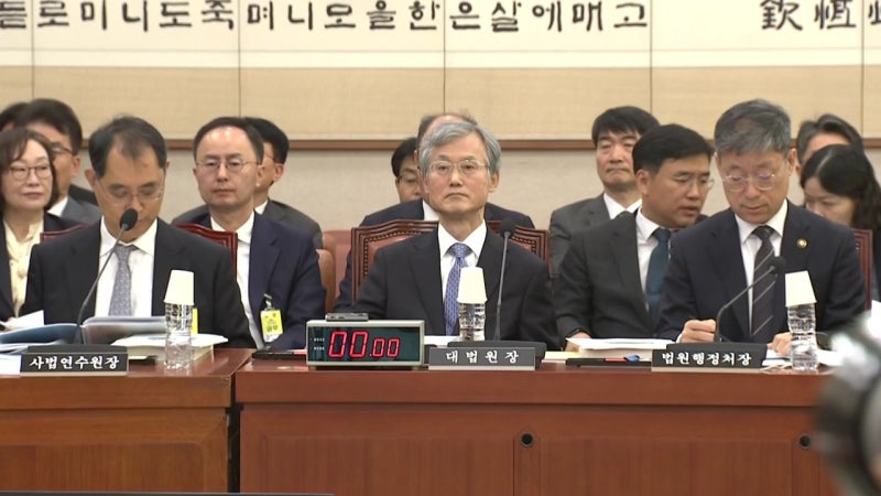 국감 계기로 바뀐 <b>조희대 탄핵</b> 기류...'내홍 돌파'도 기대