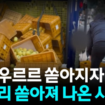 도로에 과일 쏟아지자...한달음에 쏟아져 나온 부산 시민들 [자막뉴스]
