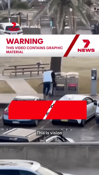 호주 시드니 본다이 비치에서 발생한 총격 사건에서 총격범을 제압한 시민의 영웅적인 행동이 찬사를 받고 있다. photo 7NEWS Australia