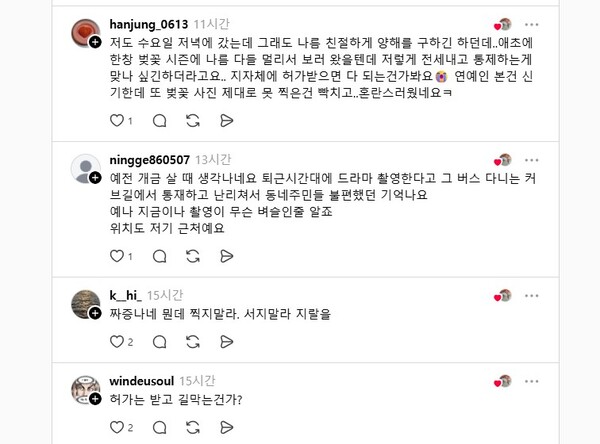 개금벚꽃길 촬영 논란과 관련한 온라인 댓글.photo SNS 캡처∙연합뉴스