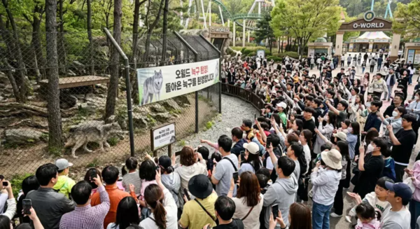 AI로 생성된 이미지.photo X