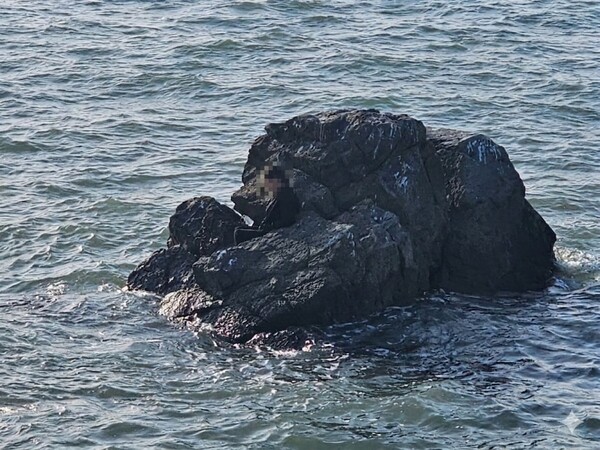 갯바위에 고립된 A씨. photo 평택해경