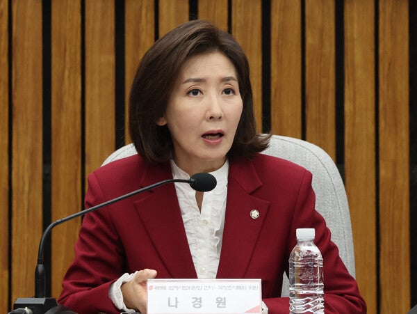 나경원 "오세훈 재선거 출마 가능…압승으로 정당성 확인해야"
