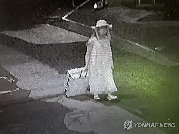 中유학생 시신 훼손해 곳곳 유기…피의자 사이코패스 검사 검토