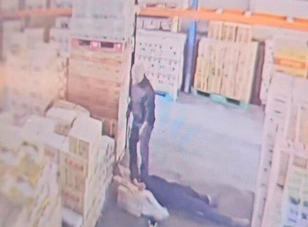 김포 지게차 사고 CCTV 영상.photo 연합뉴스