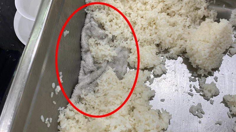 <b>스키장</b> 식당 <b>밥통서</b> 나온 수건…위생 불량에 이용객 '눈살'