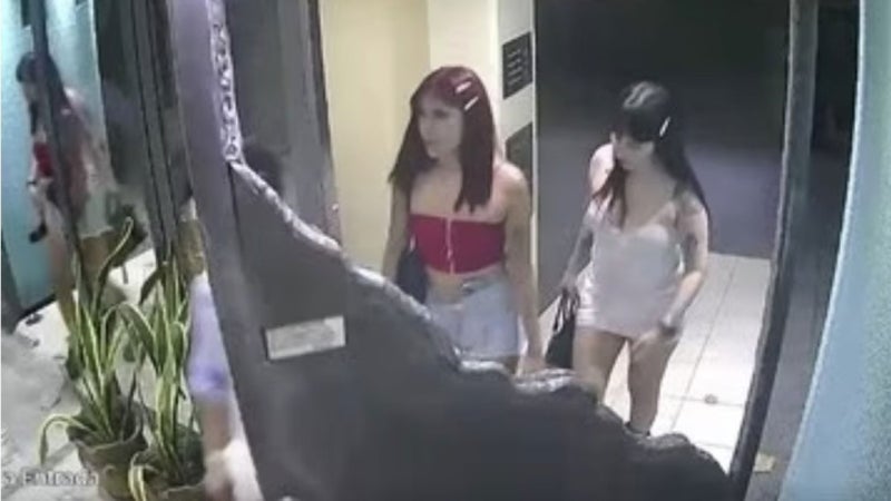 잠 깨자 술병 내리치고 턴다…아르헨 뒤집은 '<b>검은 과부</b>'