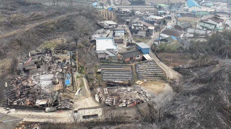 진화 현장 투입 후 귀가하던 <b>산불감시원 숨진 채 발견</b>