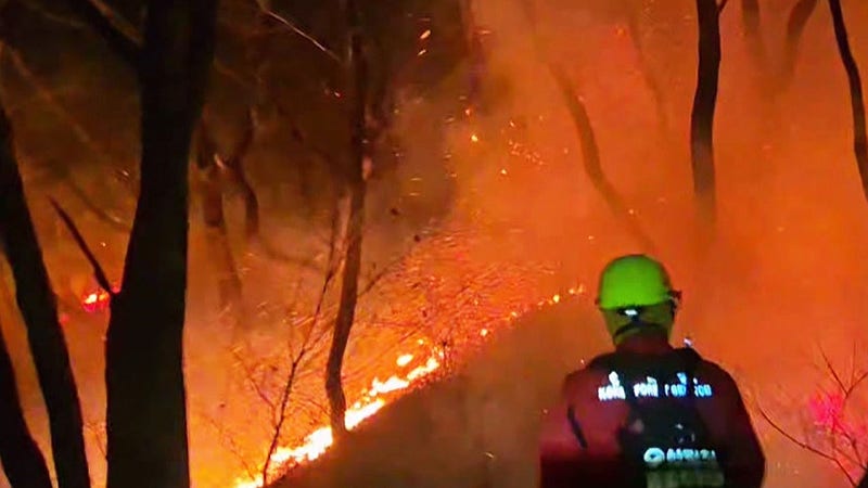 강원도 <b>양양 산불 진화 완료</b>…발생 16시간 만