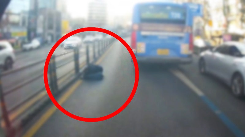 "설마 사람?" 운전 중 '경악'…분노 부른 장면