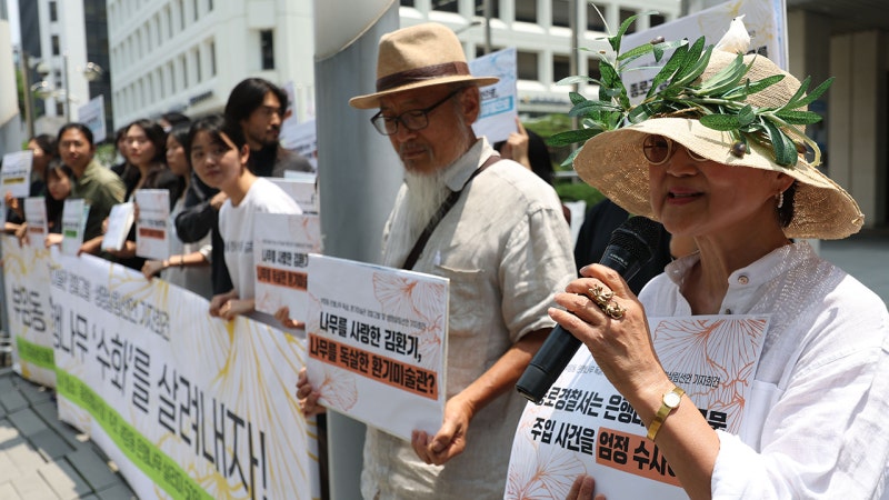부암동 주민들, <b>환기미술관</b>장 '은행나무 독살 의혹' 고발