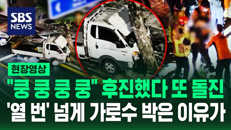 [현장영상]  "쿵!" 가로수 박더니 앞으로 갔다 뒤로 갔다 '박고' 또 '박고'