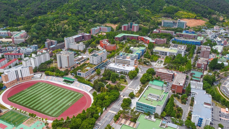 전남광주 의대 쟁탈전 1.3점 차 박빙…<b>순천대</b> 웃은 이유