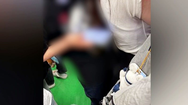 "째려보자 도망"…'나도 봤다' 지하철 <b>2호선</b> 잇단 목격담