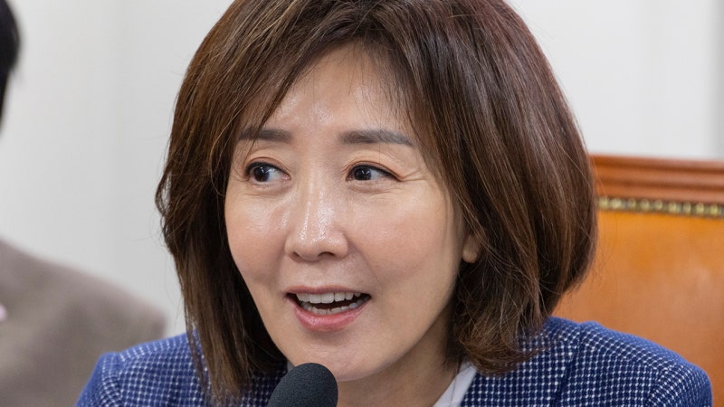 민주당 "젤렌스키에 <b>감사 서한</b>은 매국"…<b>나경원</b> "참 지독한 친북정권"