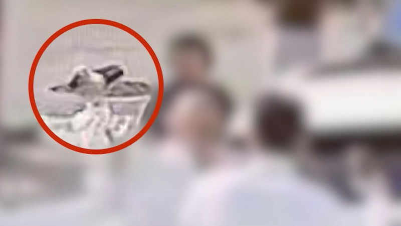 [사건why] 허리띠 휘두르고 뺨 때리고…유명 기업인, <b>외제차 매장</b>서 '난...