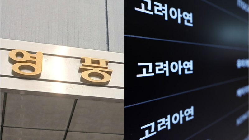 <b>영풍</b>, 고려아연 상대 8천억 원 규모 <b>주주대표소송</b> 1심서 패소