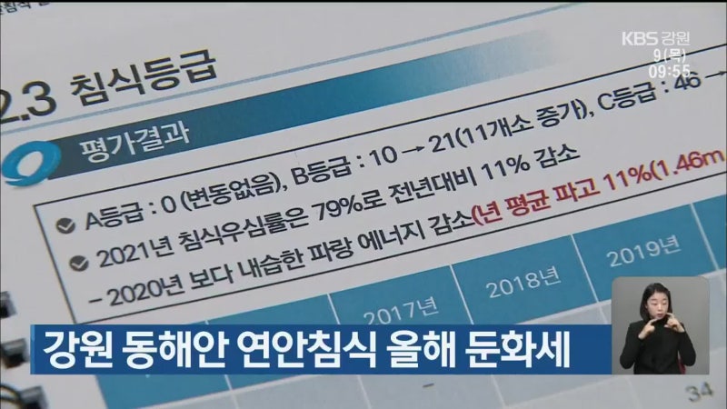 강원 <b>동해안 연안침식</b> 올해 <b>둔화</b>세