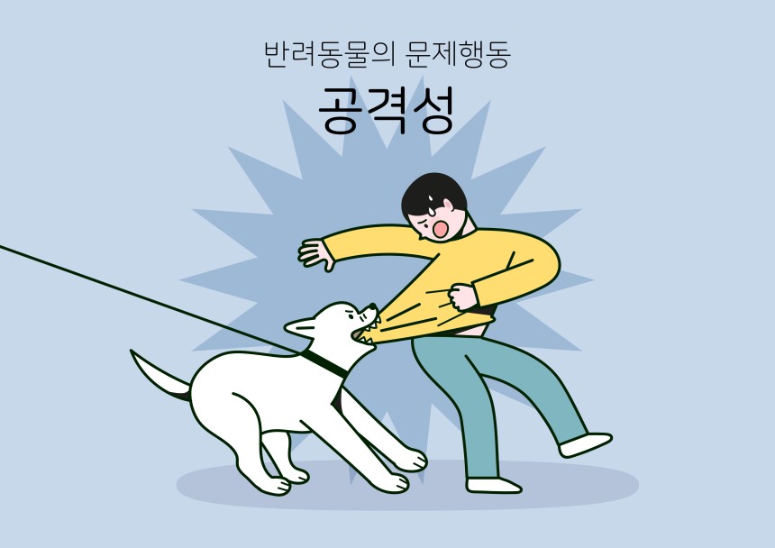 기르던 개에게 타인이 상해를 입거나 사망할 경우, 견주는 ‘과실치상·과실치사’ 혐의를 받을 수 있다. 경우에 따라 피해자의 손해배상 청구를 받을 수 있고, 관리 소홀로 인한 ‘동물보호법(맹견·등록대상동물 관리) 위반