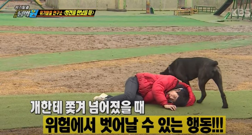 이찬종 동물 훈련사는 앞서 KBS와의 인터뷰에서 “개가 갑작스럽게 달려들어서 무는 ‘선제적 공격’의 경우, 손으로 목을 감싸고 ‘태아 자세’를 취해 장기를 보호해야 한다. 그리고 개가 이동할 때까지 가만히 있어야 한