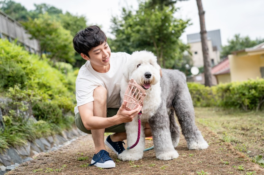 애초에 개 물림 사고가 일어나지 않도록 견주의 ‘반려견 관리 책임’을 강화해야 한다는 목소리도 나온다. 법적으로 맹견에 속하지 않더라도, 사람을 문 적이 있거나 공격성이 강한 견종이라면 외출 시 입마개를 착용시키고,