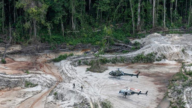 한계에 달한 아마존 생태계…“2050년께 급격 붕괴할 수도”