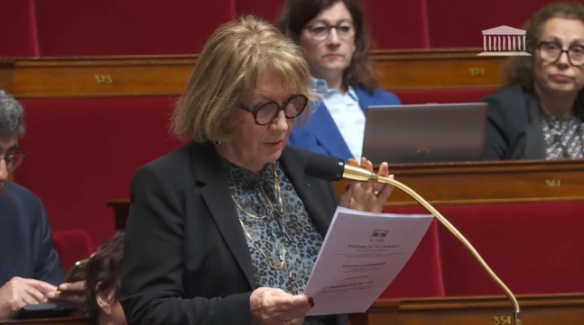 프랑스 국회의원 다니엘 브륄부아(Danielle Brulebois: 다니엘 숲을 태우다) 의원이 의회에서 발언을 하고 있다.