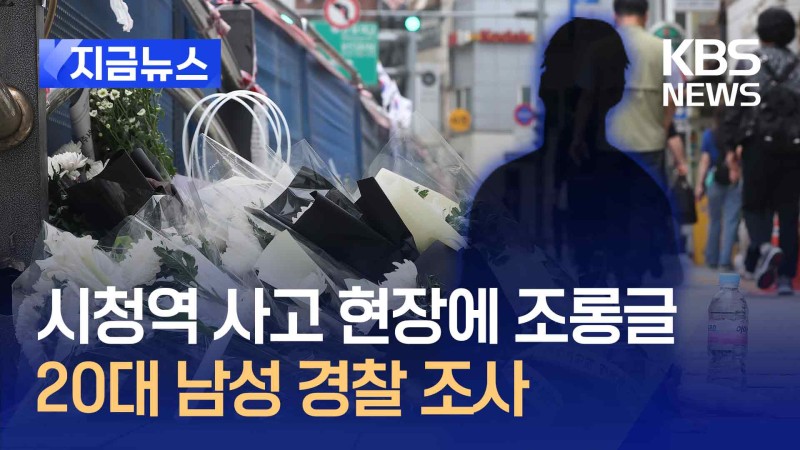 ‘<b>시청역 역주행</b> 사고’ 현장에 조롱글 20대 남성 경찰 조사 [지금뉴스]