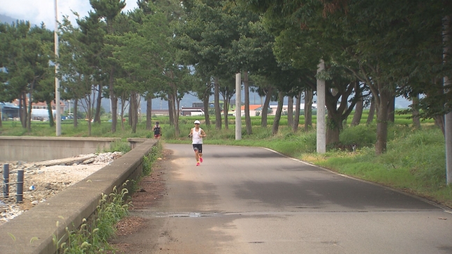 시민들이 조경수와 전봇대가 심어진 해안 도로를 뛰고 있다.