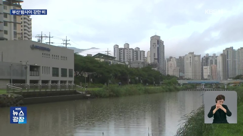부산, 밤사이 최대 80mm 많은 비…<b>천둥</b> 번개 동반