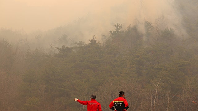 [속보] <b>안동</b>시, 남후면 무릉리 <b>산불 확산</b>…<b>안동</b>중학교로 대피령