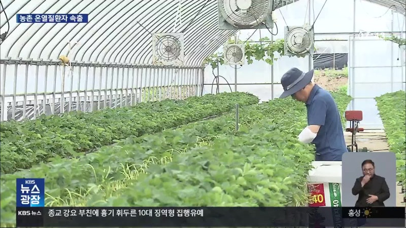 <b>폭염</b>에도 농사일…농촌 <b>온열질환자 속출</b>